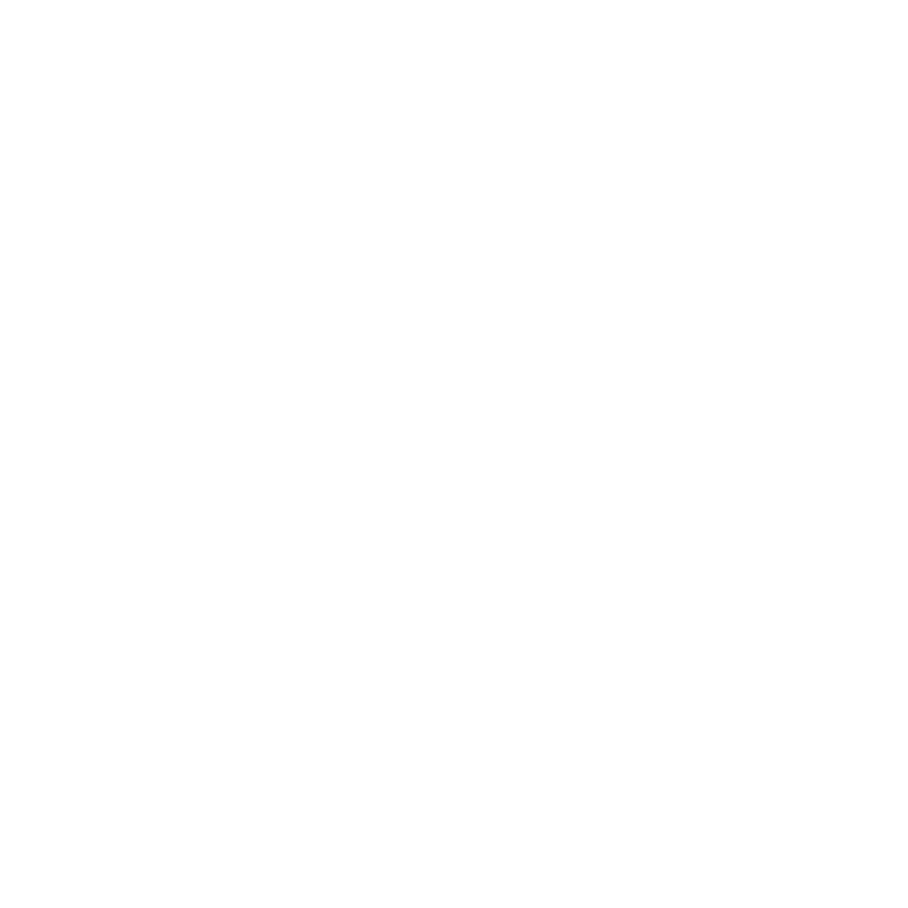 RJN Logo